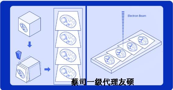 昌平蔡司昌平扫描电镜